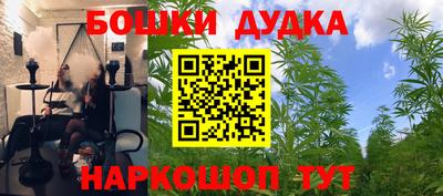СК Ставрополь