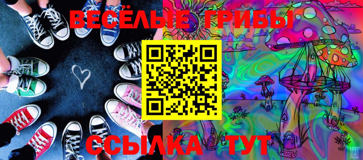 Аша  магазин  наркотиков  Вход с VPN  Галлюциногенные грибы ЛСД  Галлюциногенные грибы GOLDEN TEACHER 